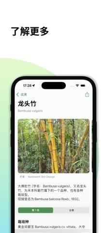 森林指南: 步数与植物识别 screenshot
