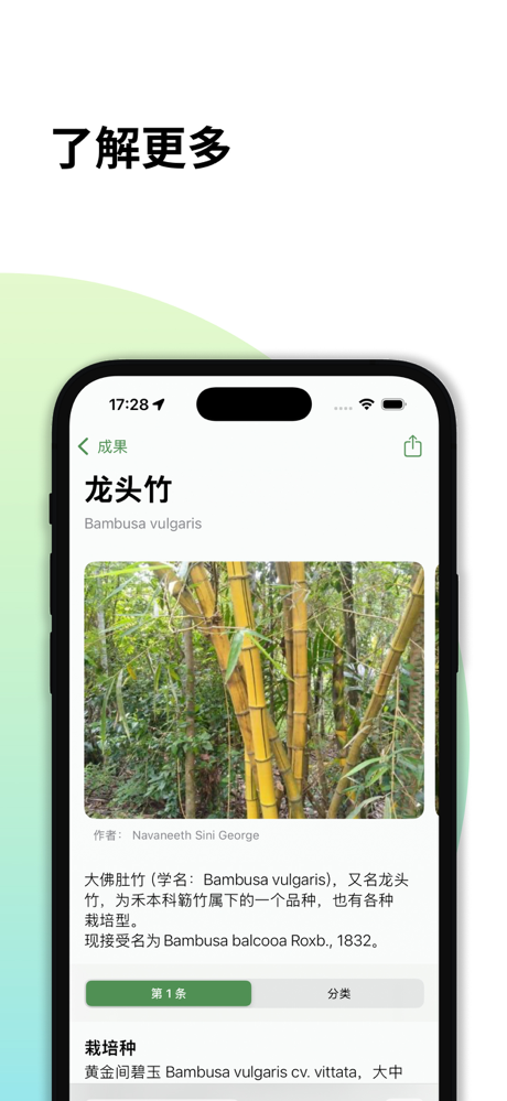 森林指南: 步数与植物识别 screenshot 2