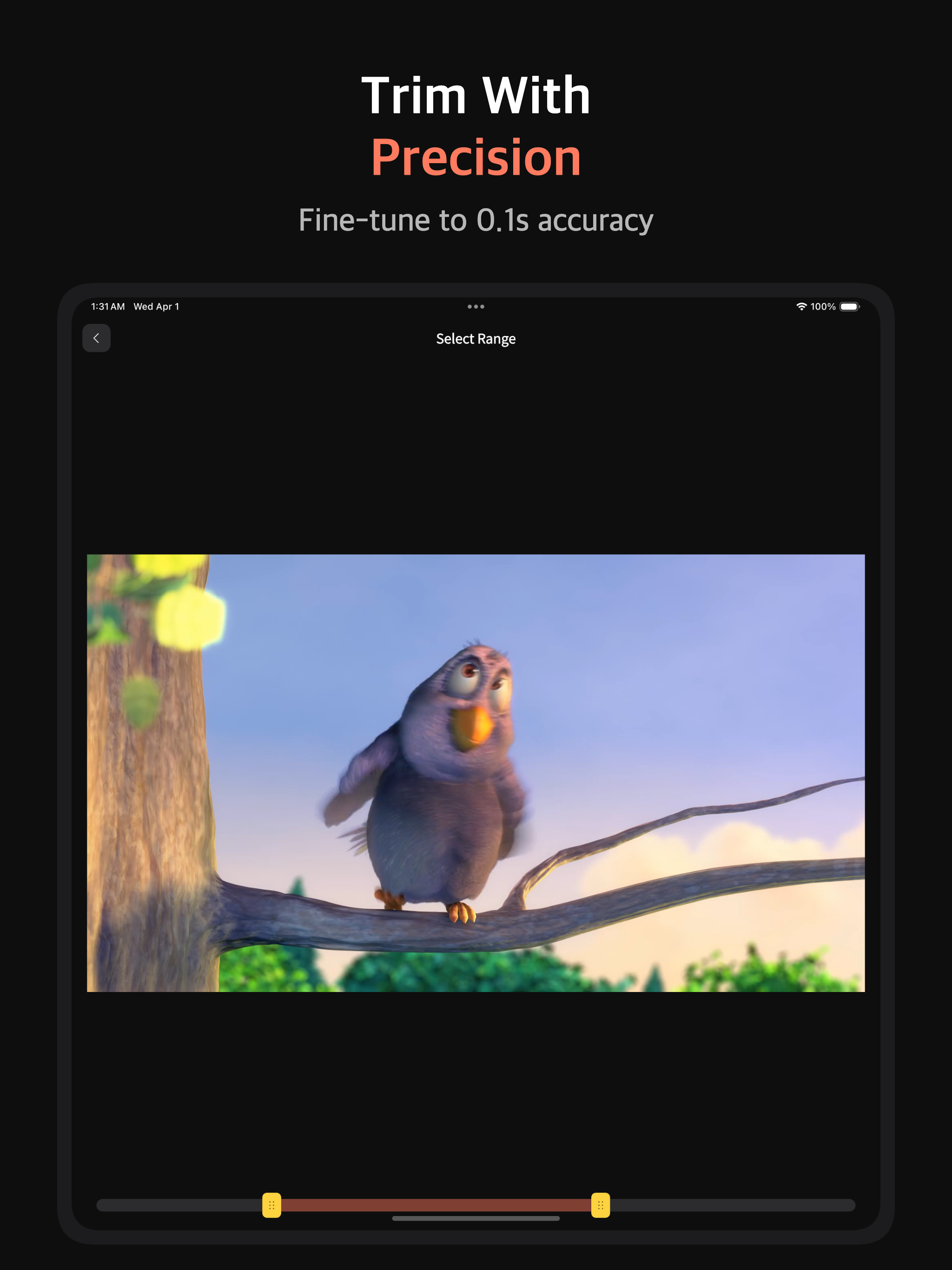 Video to GIF Converter & Maker