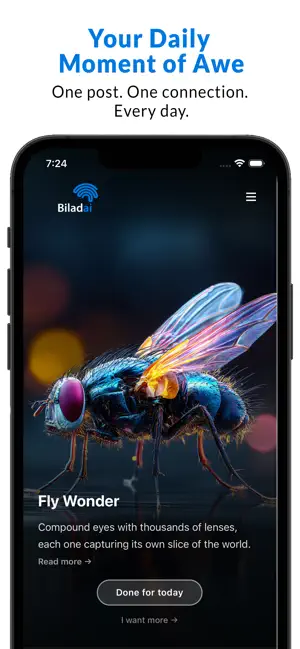 Biladai screenshot 2