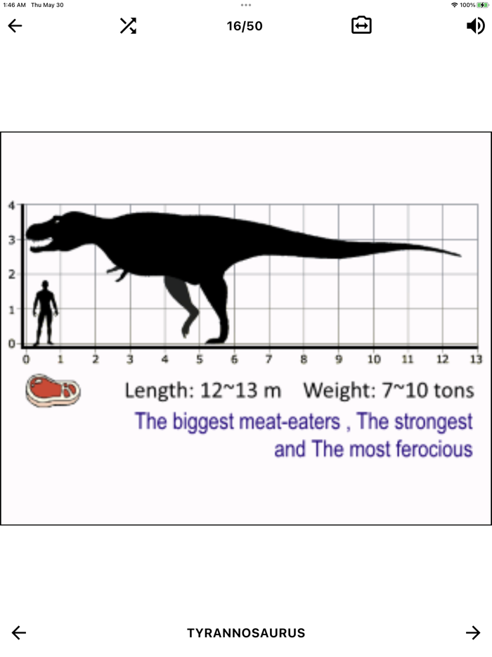 Dinosaur Flashcard Quiz