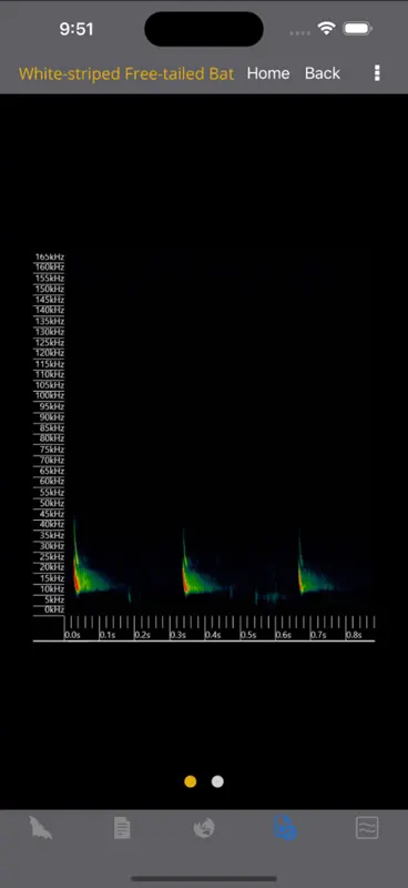 Field Guide to Australian Bats screenshot 6 of 10