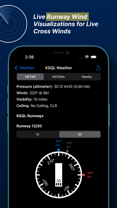Aviator Weather Screenshot