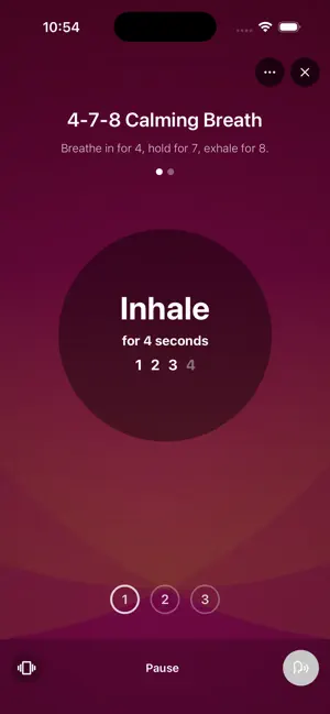 Impulse Mode screenshot 1
