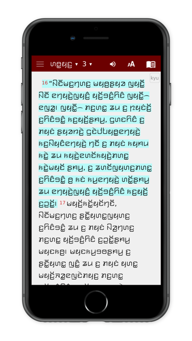 Kayah Li Bible with English iPhone screenshot 7 - Reference app
