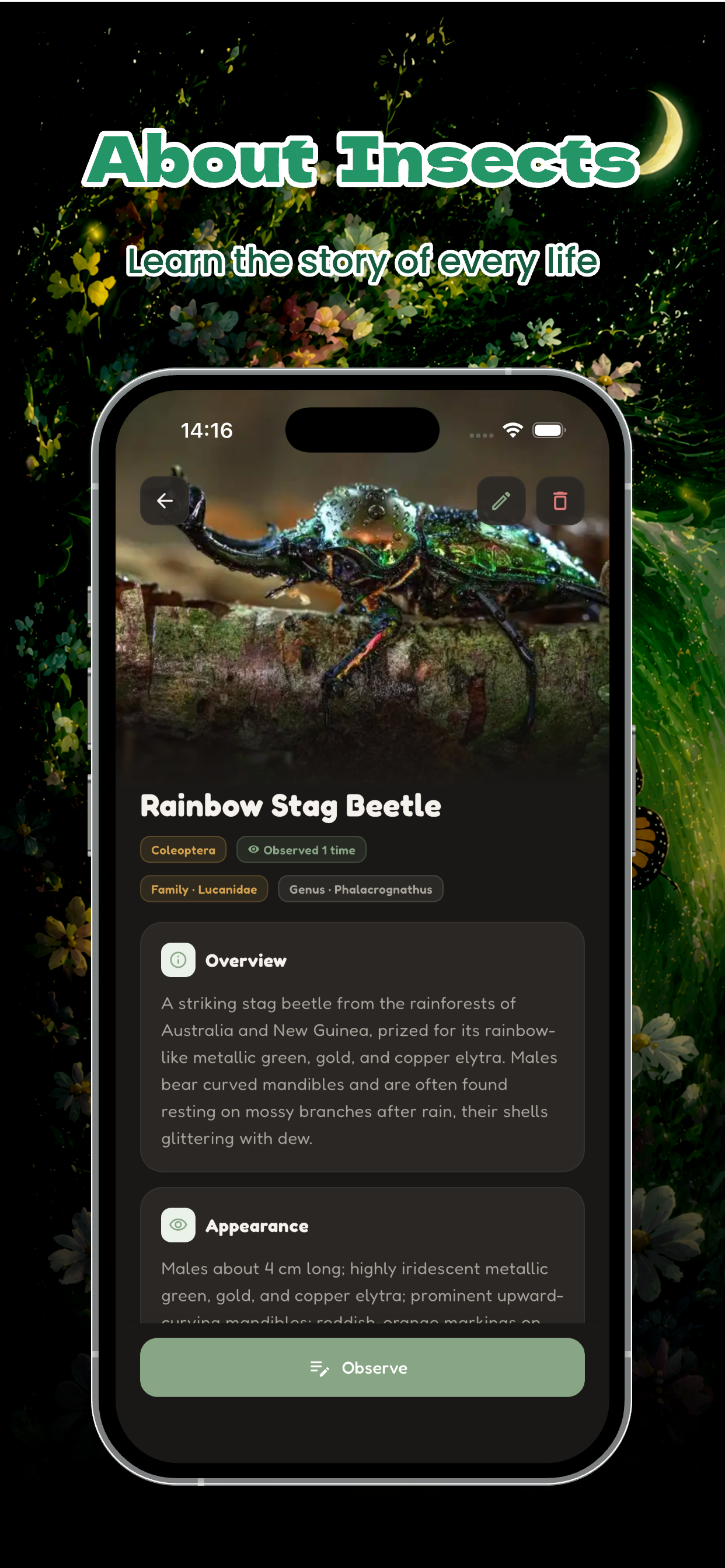 Zetta: Recording Insect Moment