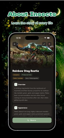 Zetta: Recording Insect Moment iPhone screenshot