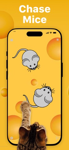 Games for Cats & Kitty iPhone screenshot