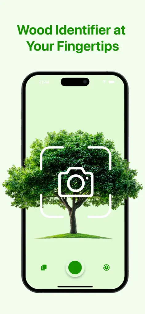 Tree Identifier: Wood & Plant - Reference App | MWM