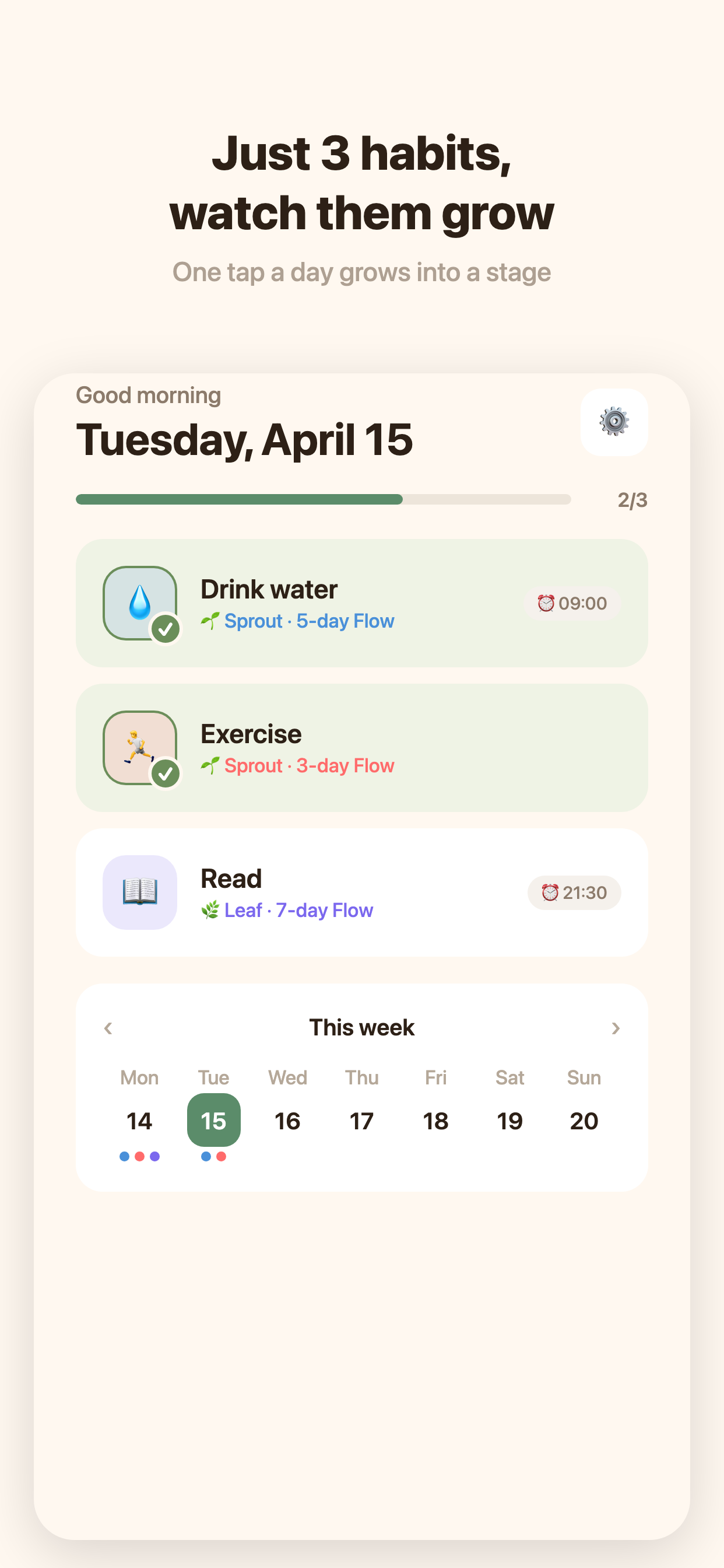 Ssak: Three Habits