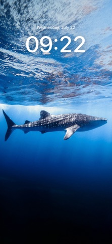 Maldives HD Wallpapers iPhone screenshot