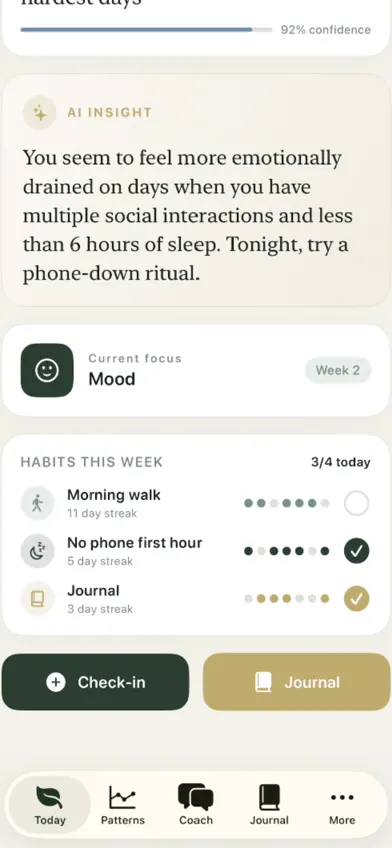 Life Audit AI screenshot 1