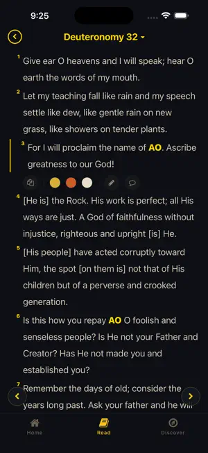 The Torah of AO screenshot 4