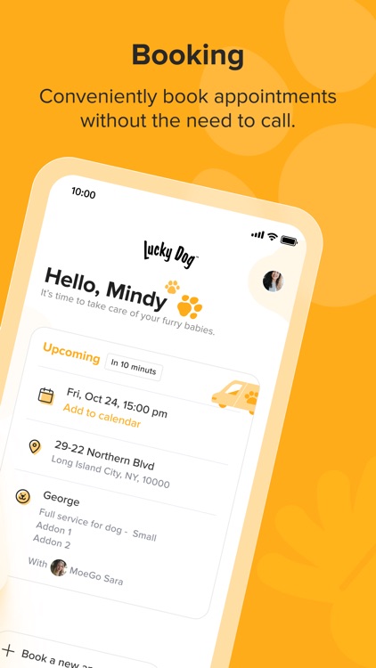 Lucky Dog Mobile Groomers