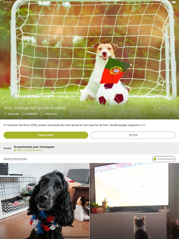Screenshot #6 pour Yummypets - Animaux