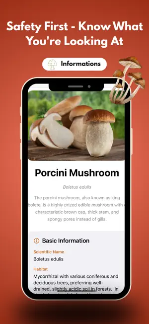 picture mushroom ıdentifier screenshot 2