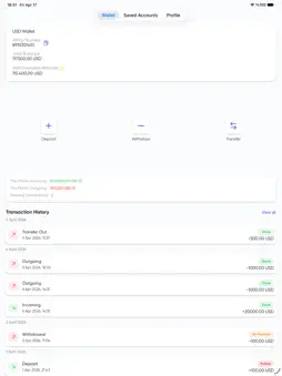 10pay screenshot 8
