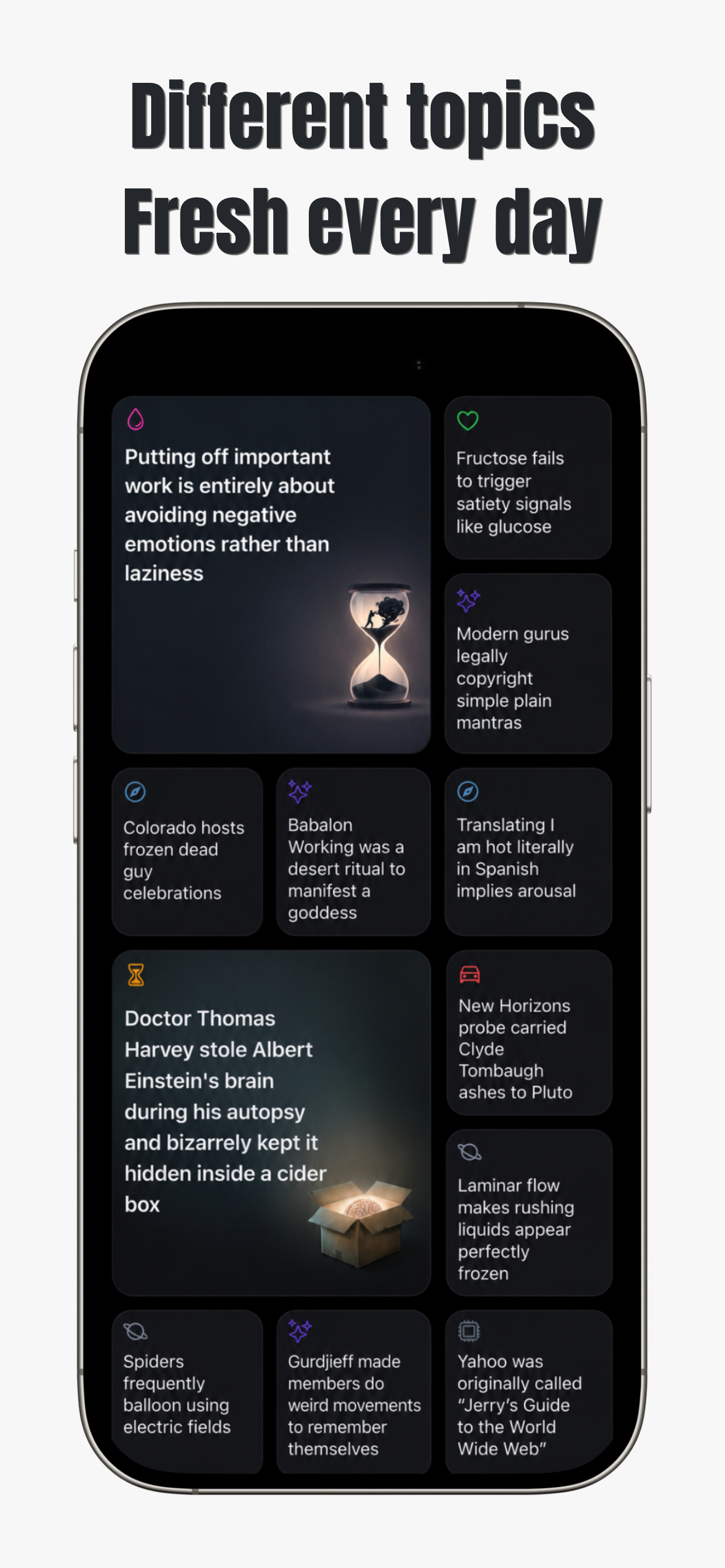 Stacky: Daily Micro Learning