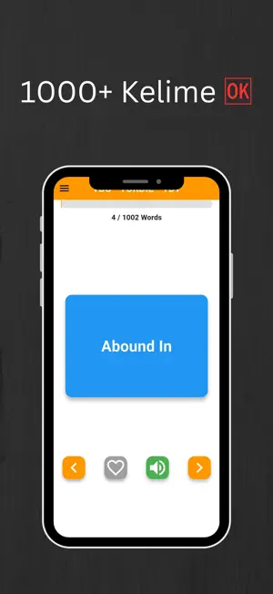 YDS YOKDIL screenshot 4