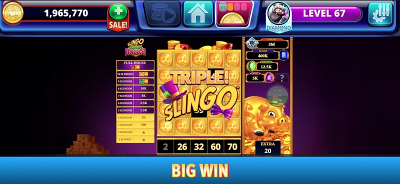 Slingo Arcade Spin Slots Bingo screenshot 2