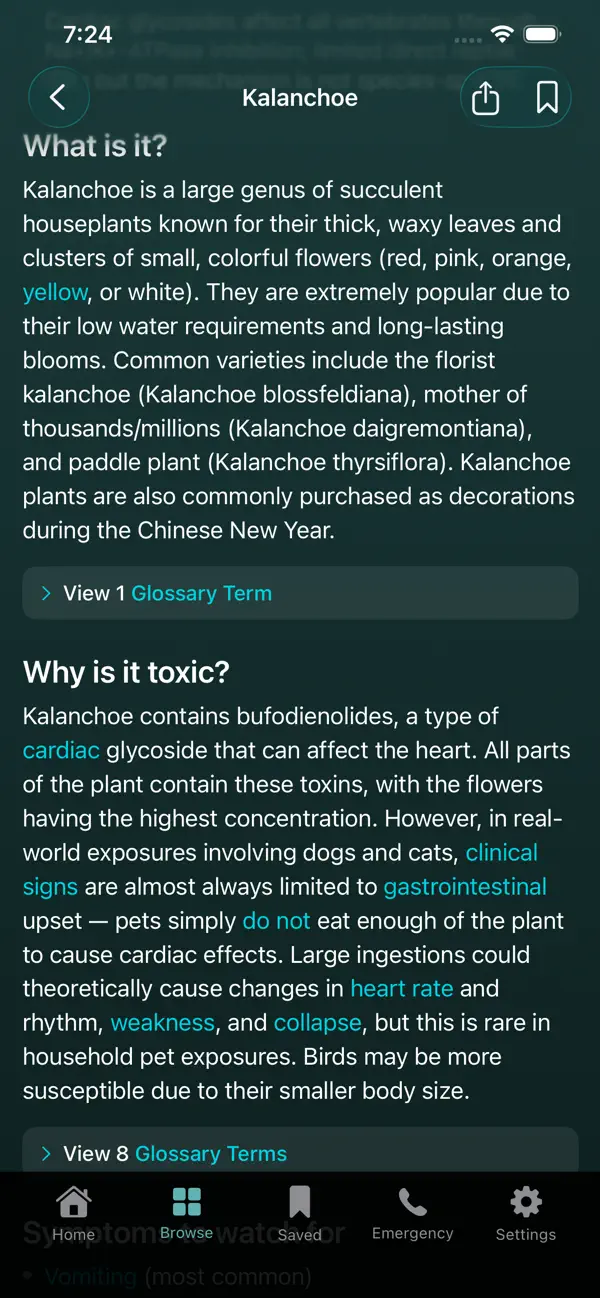 #6. Pet Toxic (iOS) بواسطة: CRISTIANO FONSECA FONTES