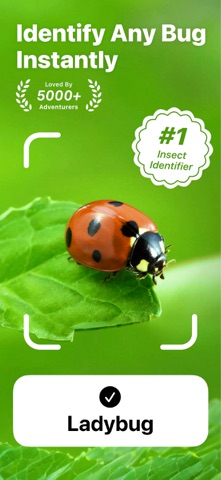 Insect Bug Identifier : Buzzy screenshot