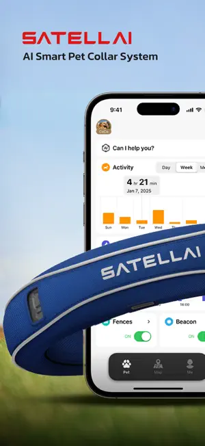 SATELLAI screenshot 1