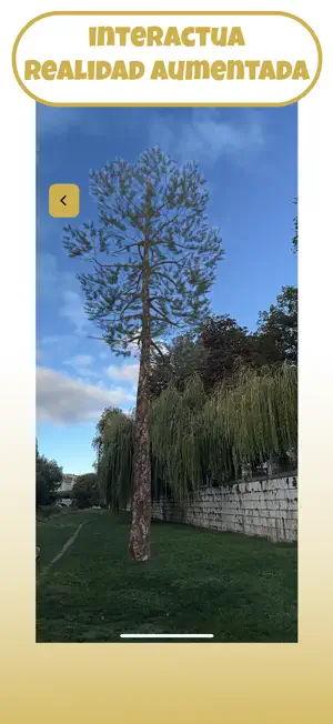 MadrileñoSoy screenshot 3