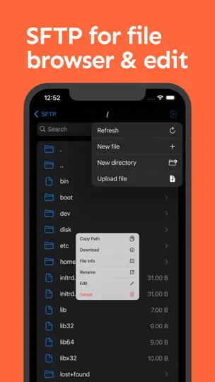 Screenshot von NeoServer: SSH Client|Terminal auf dem iPhone 9