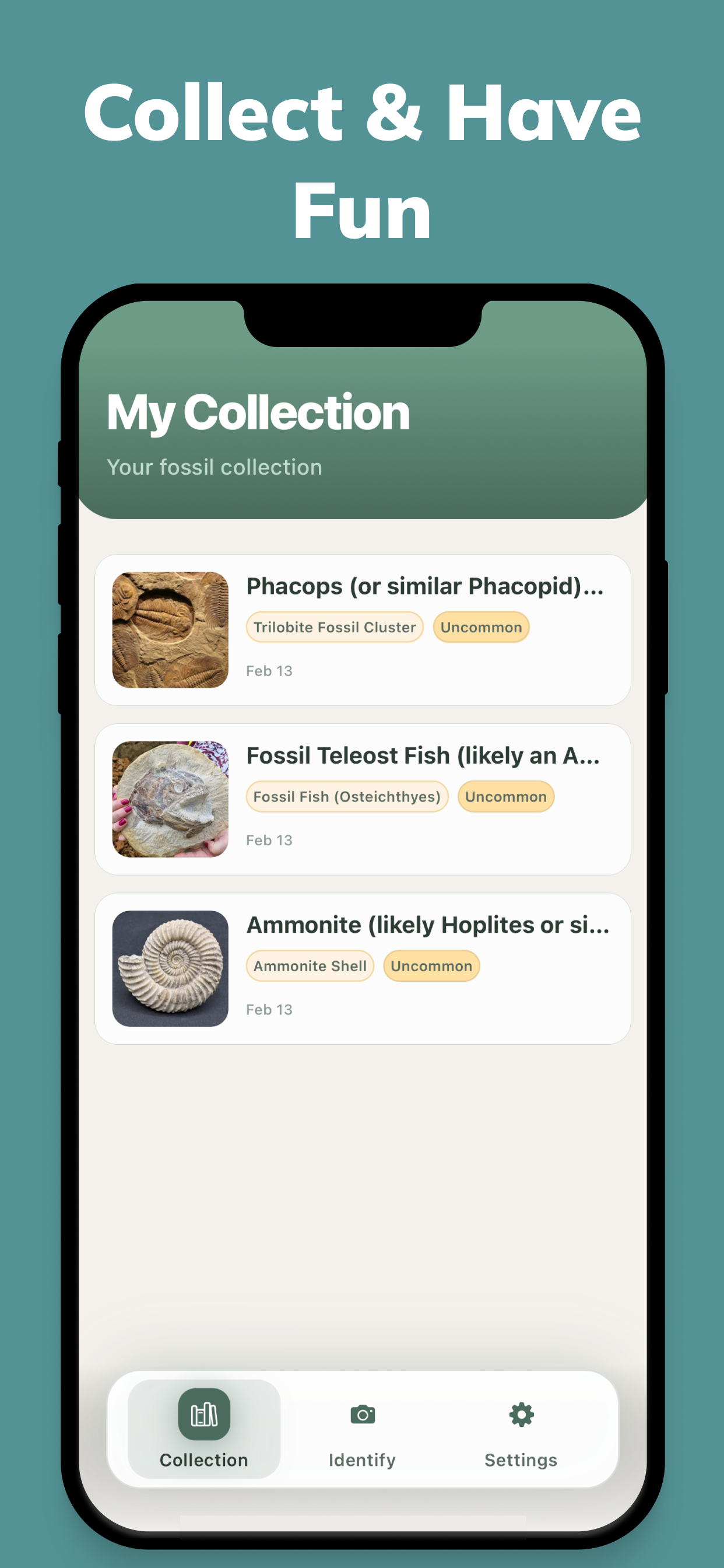 Fossy: Fossil Identifier