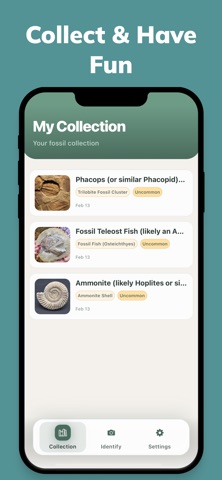 Fossy: Fossil Identifier screenshot