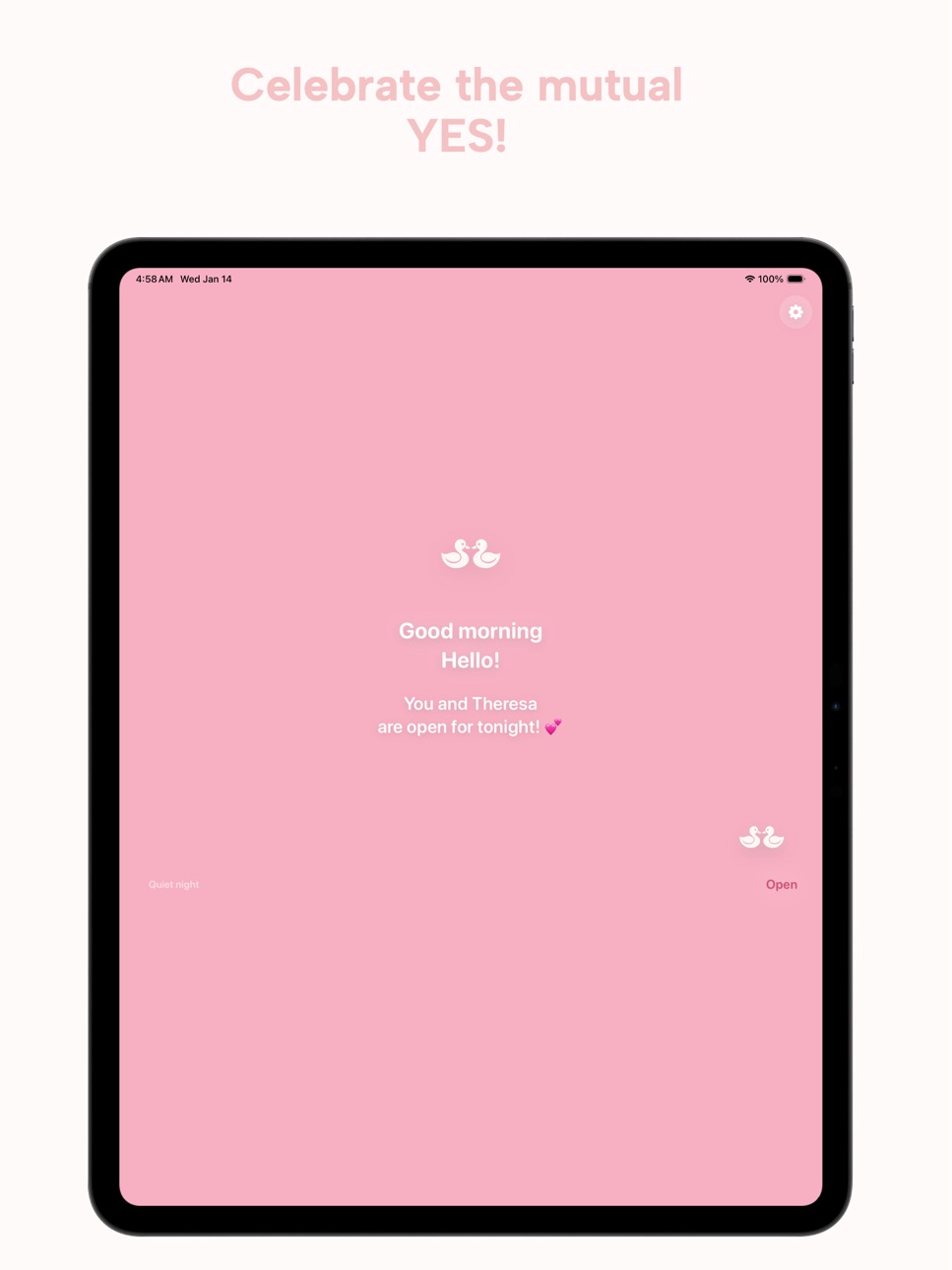iPad screenshot