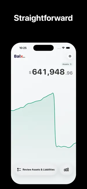 Balx - Assets & Liabilities screenshot 3