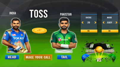 Pakistani Cricket League Game Screenshot
