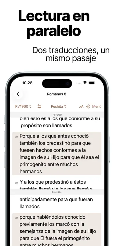 Biblia Espada del Espíritu screenshot 6 of 6
