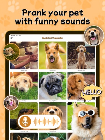 Human to Cat & Dog Translator iPad screenshot