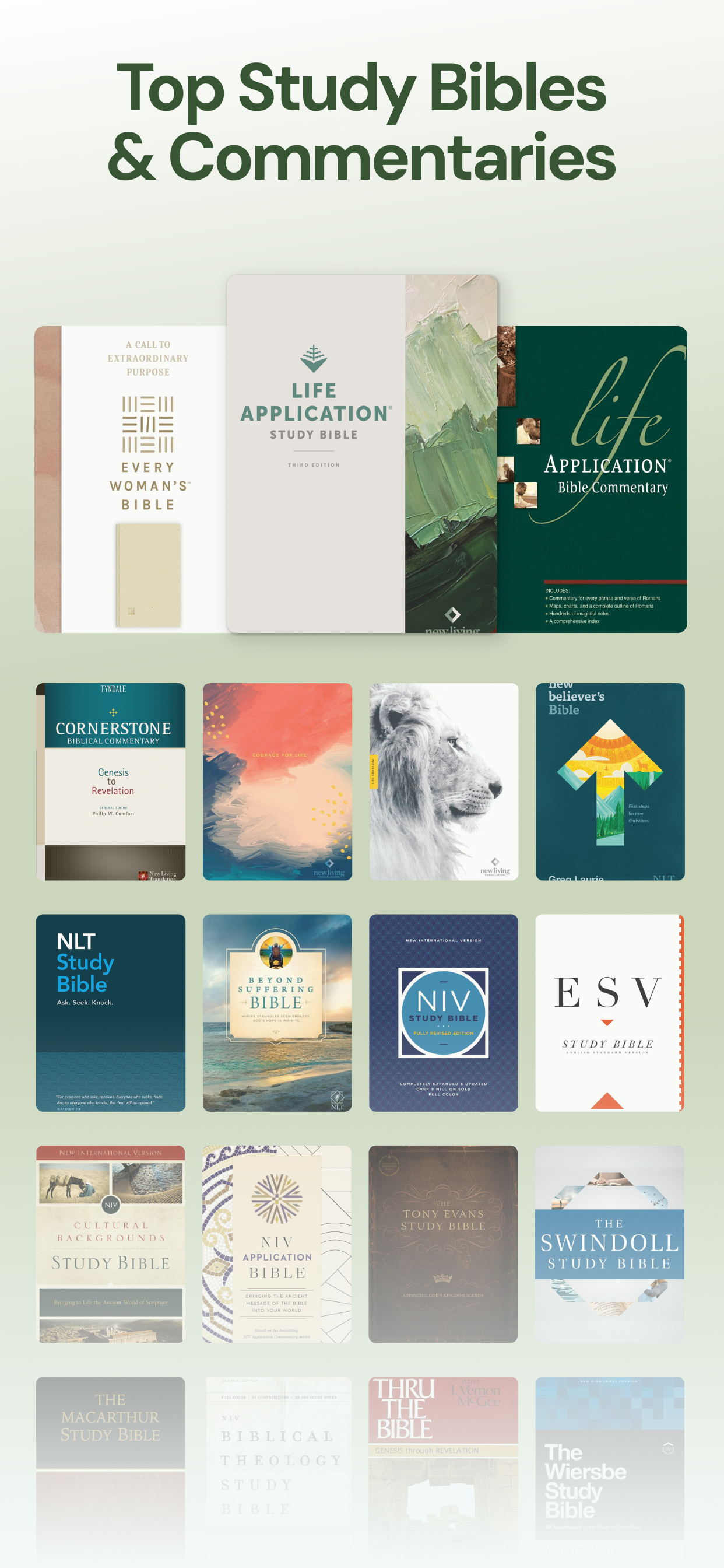 Life Application Study Bible