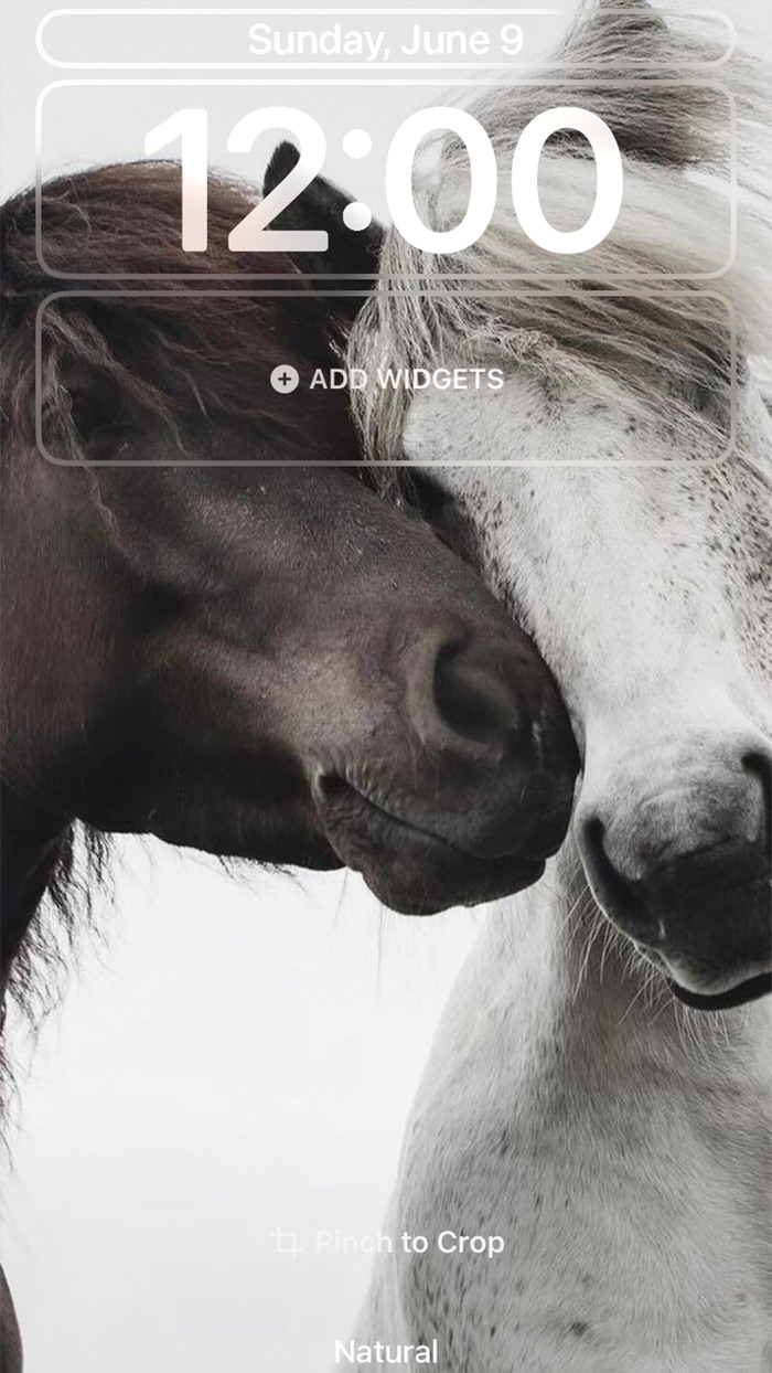 Aurum - 4K  Live Wallpapers