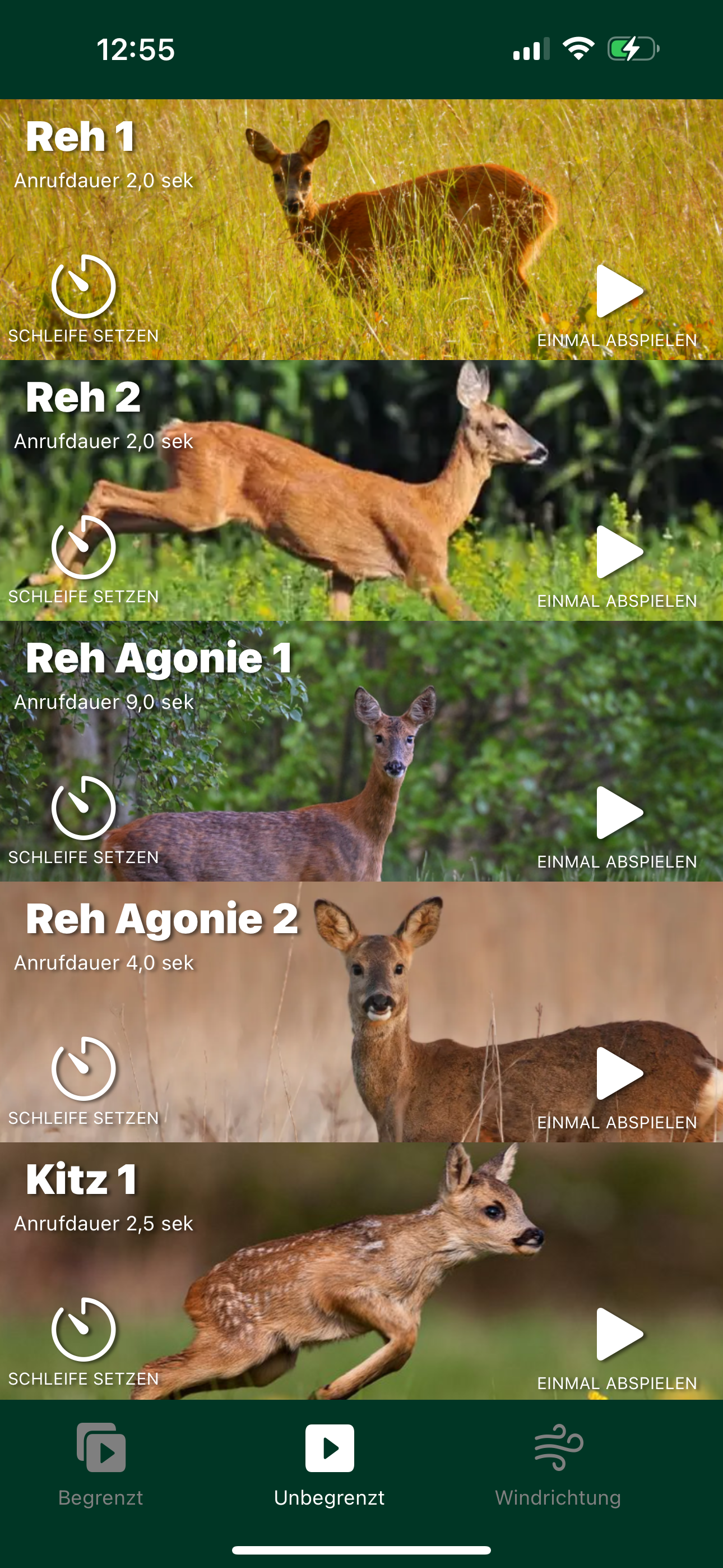 Rehbock Anrufe