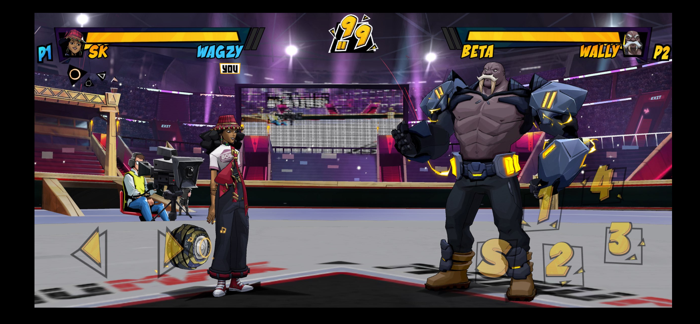 Super Dragon Punch Force 3