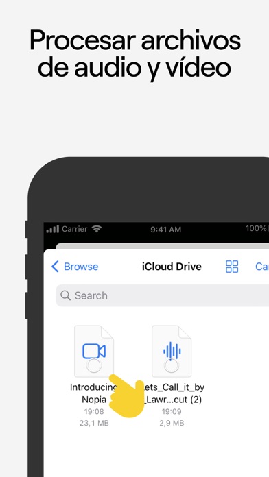 LALAL.AI: Quitar Voz y Música screenshot 3
