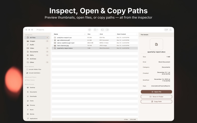 Inspector panel with file preview