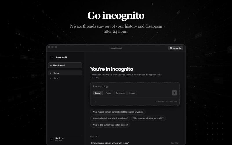 Perplex - AI Search & Chat: official Mac preview 3 (opens full image in a new tab)