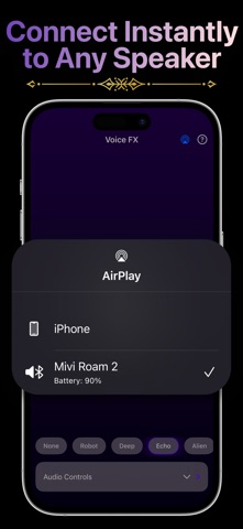 LiveMic: Bluetooth Speaker Mic screenshot