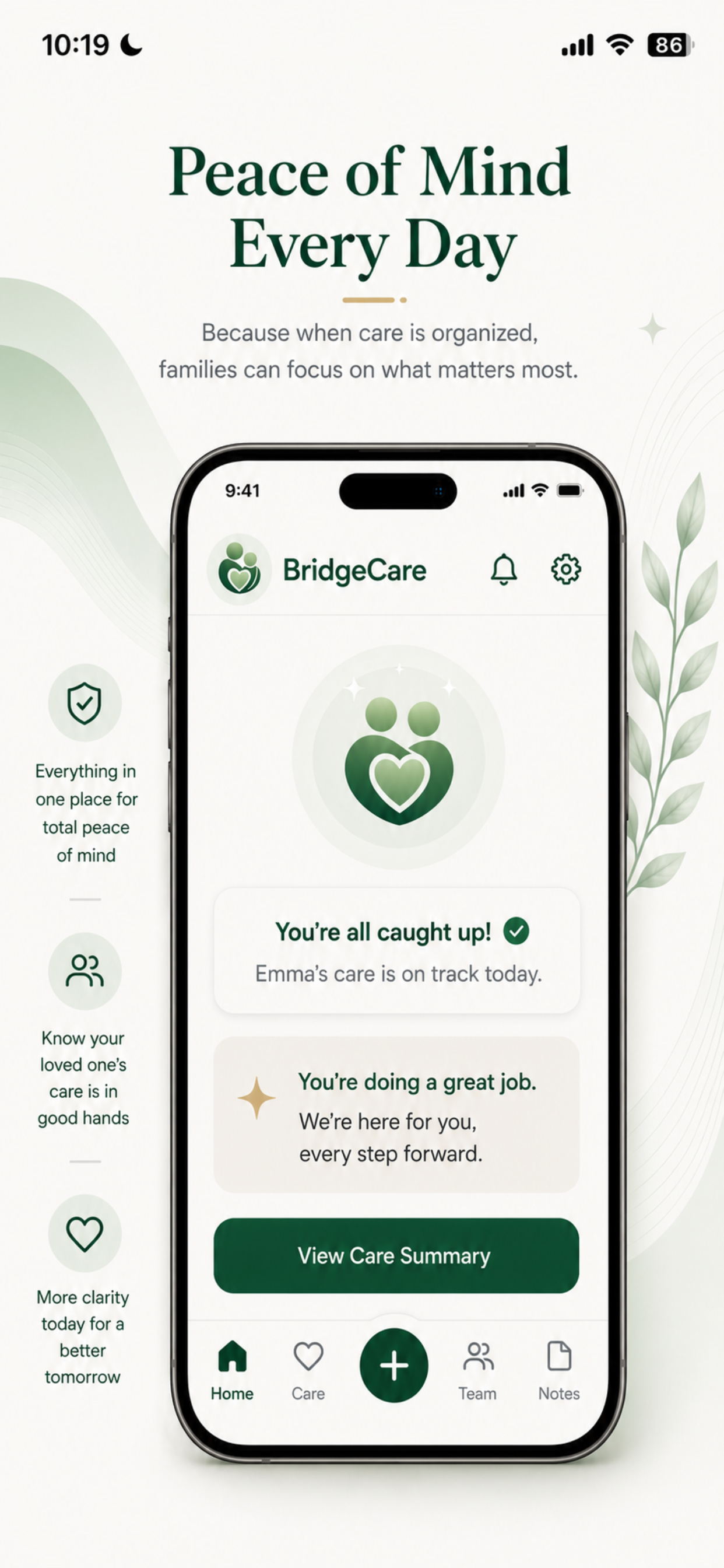 BridgeCare
