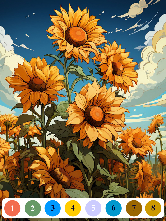 Senior Color - Paint By Number