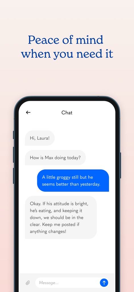 Airvet for Pet Parents - Users can engage in convenient chat conversations with veterinary professionals, receiving personalized advice and ongoing support for their pet's health concerns.