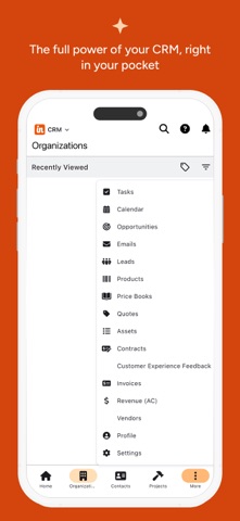 Insightly CRM Screenshot 4 of 9