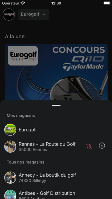 Eurogolf Screenshot