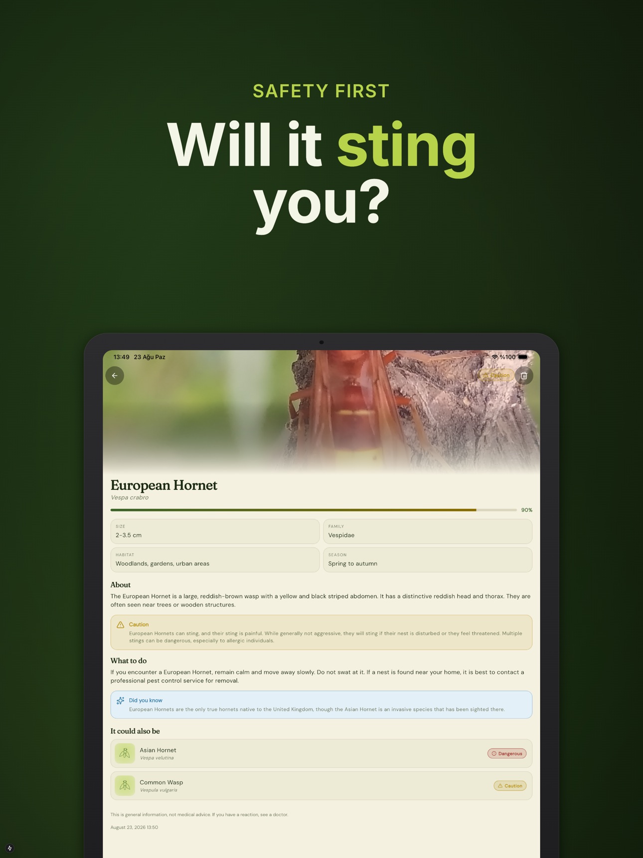 Screenshot 8 of Insect Identifier: Cicara